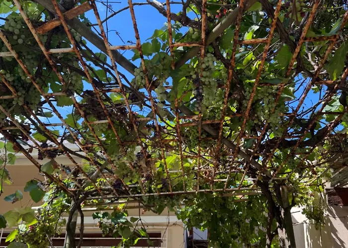 Casa Do Vivi 1